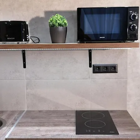 Luxury In The Center With Parking Apartment *